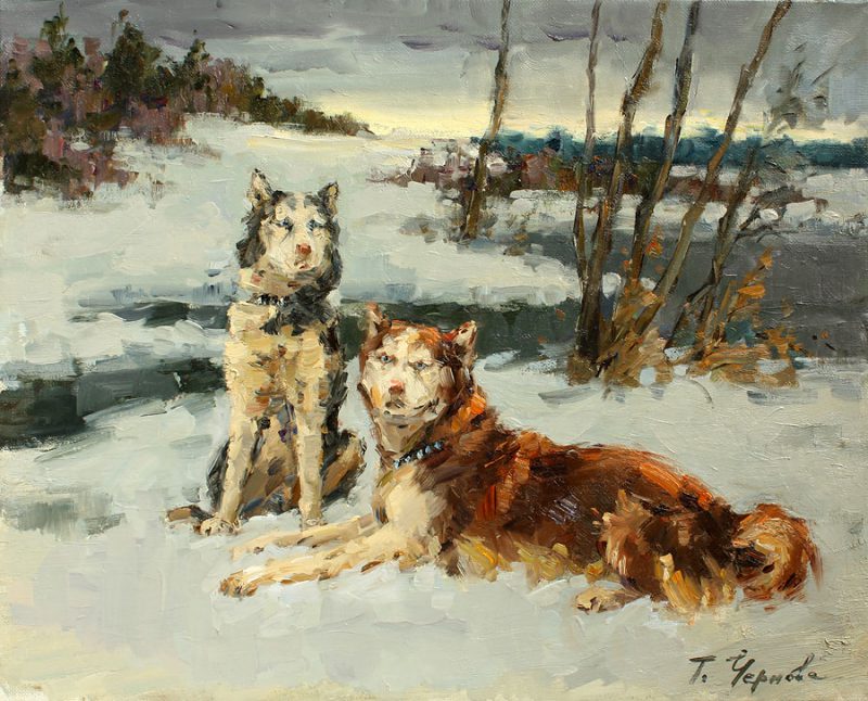 Arnuk and Ulkuma - Sibirian Huskies  